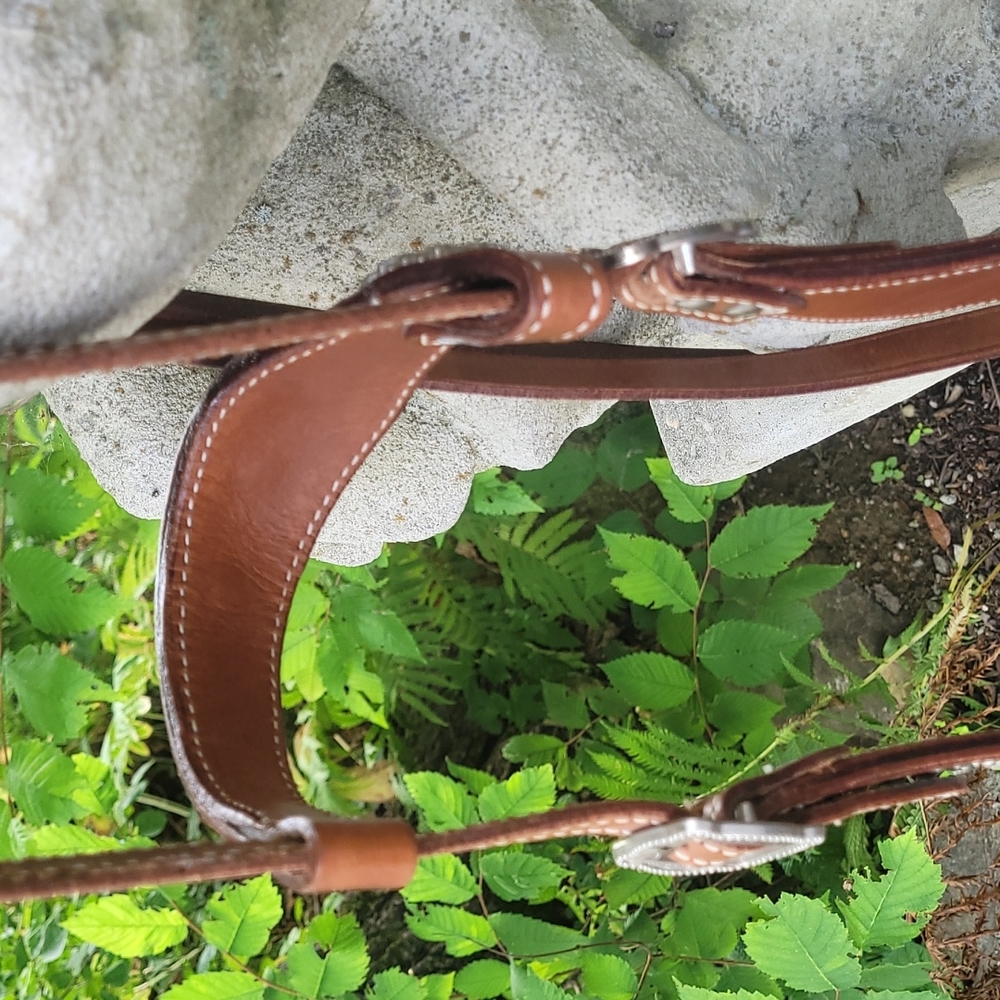 Western Bridle - Picture 4 of 8